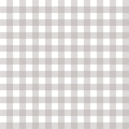 Weekend Molly Gingham - Light Gray