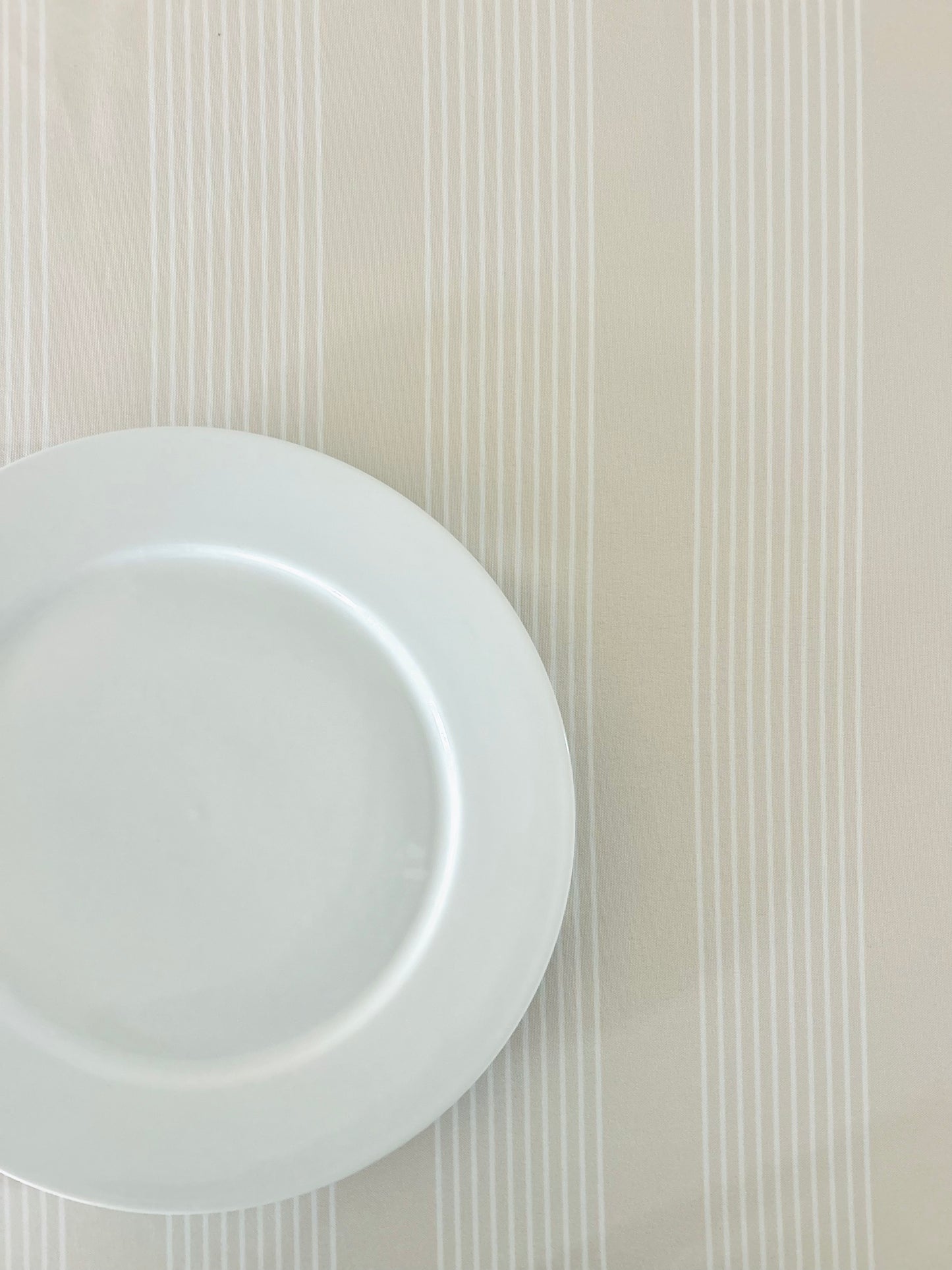 Everyday Ollie Stripe Birch